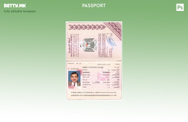 Шаблон за палестински пасош во модерен стил